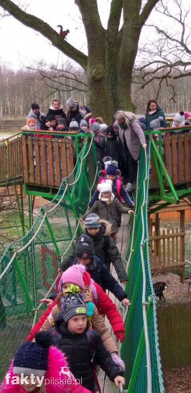 Wycieczka do Deli Parku