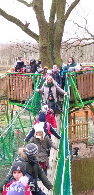 Wycieczka do Deli Parku