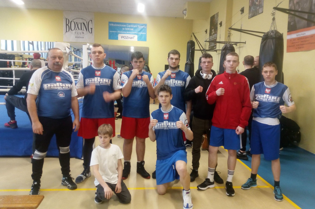 Bokserzy Sokoła na sparingach
