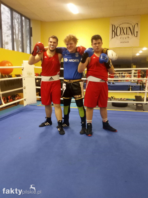 Bokserzy Sokoła na sparingach