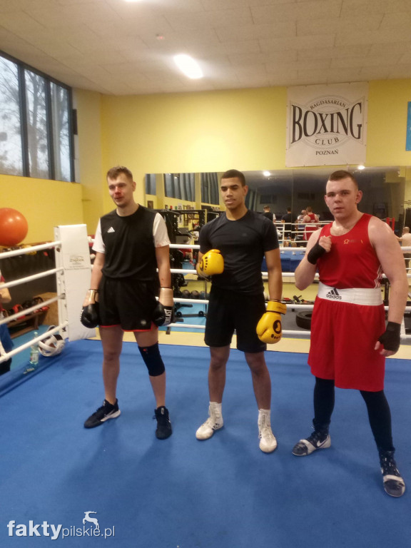 Bokserzy Sokoła na sparingach