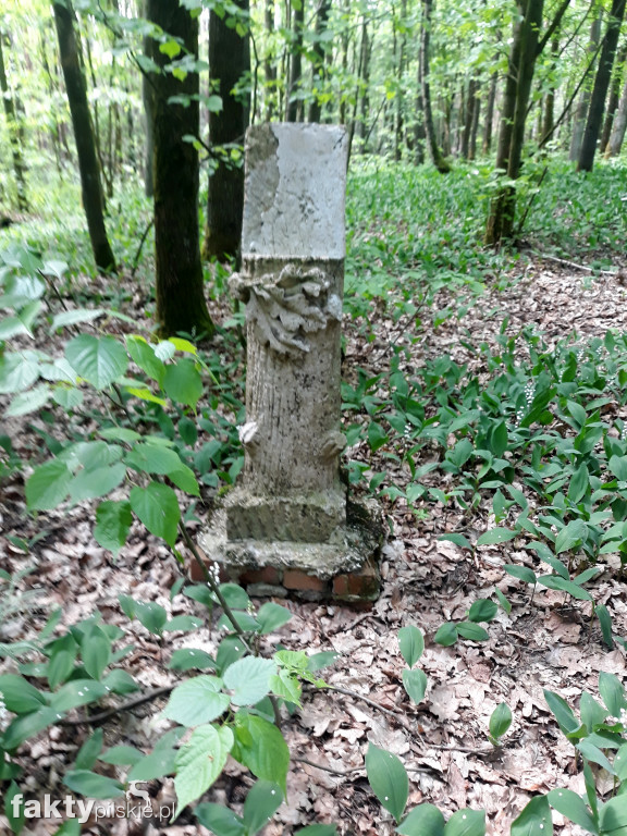 Zapomniane cmentarze