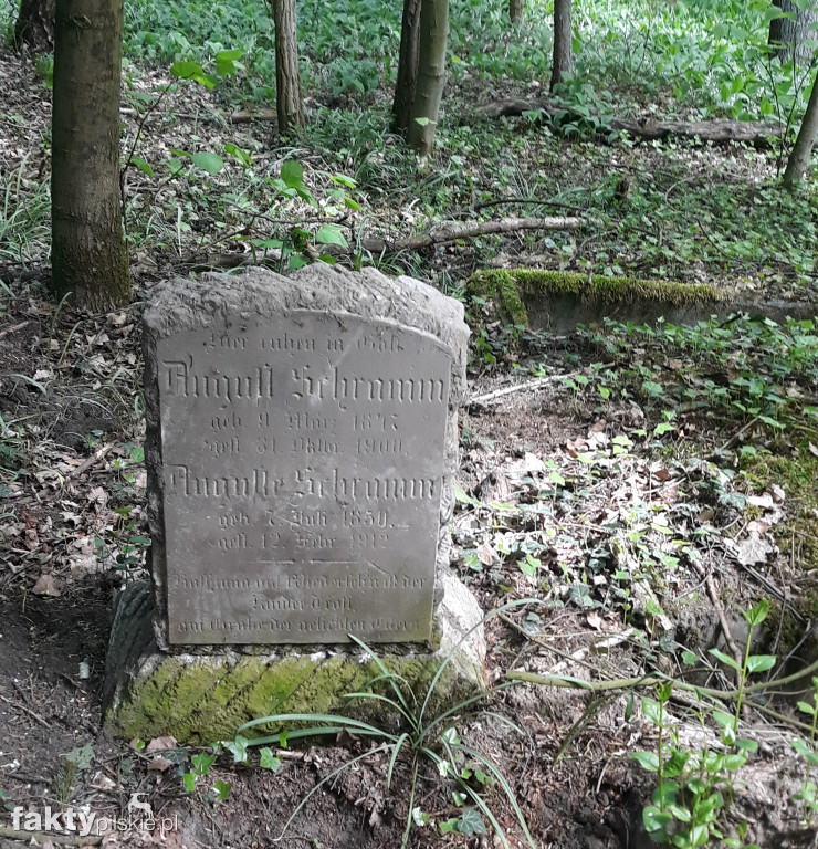 Zapomniane cmentarze