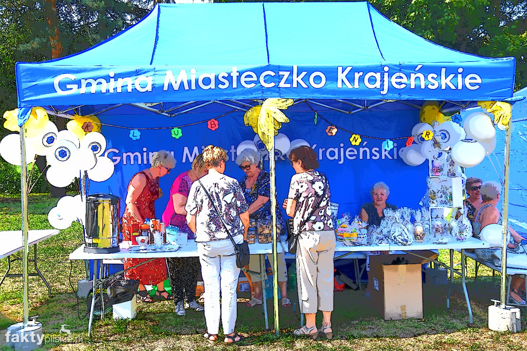 Dożynki w Brzostowie