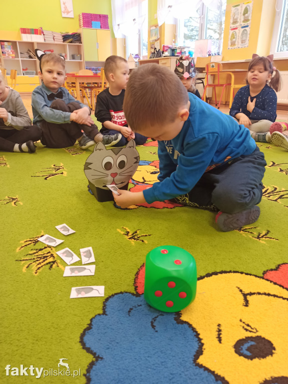Międzynarodowy Dzień Kota w wyrzyskim przedszkolu