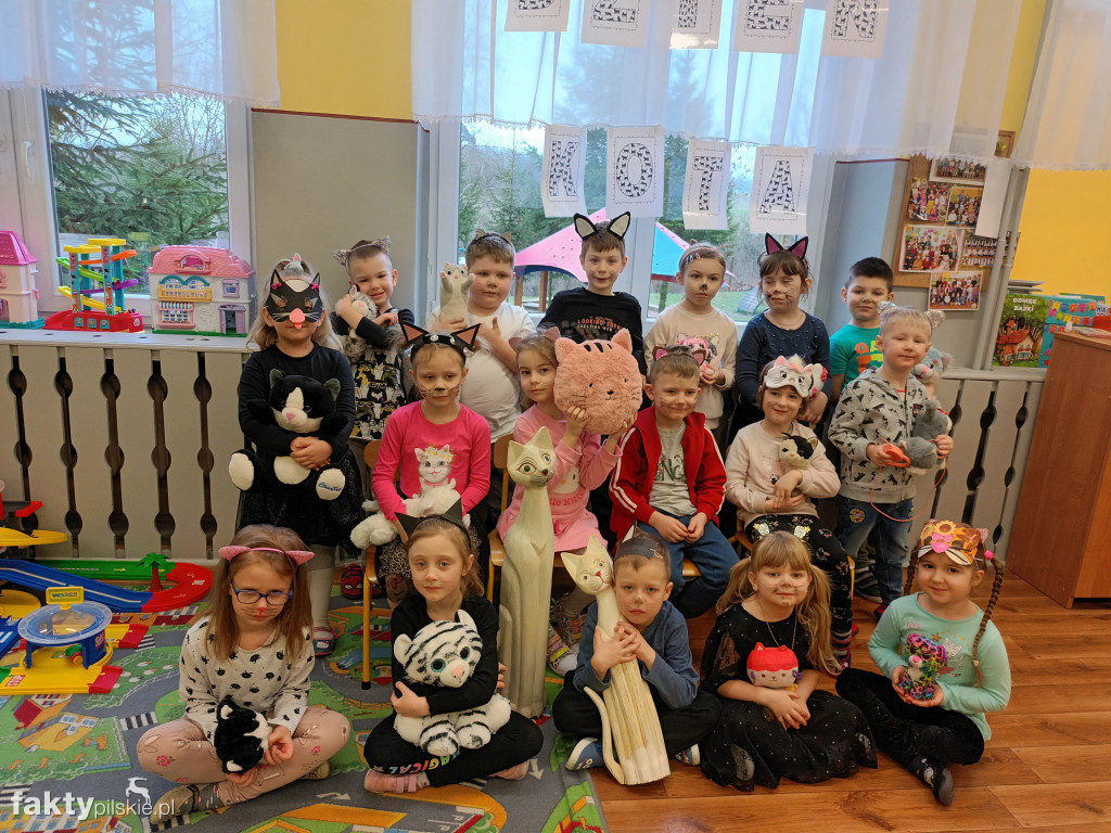 Międzynarodowy Dzień Kota w wyrzyskim przedszkolu