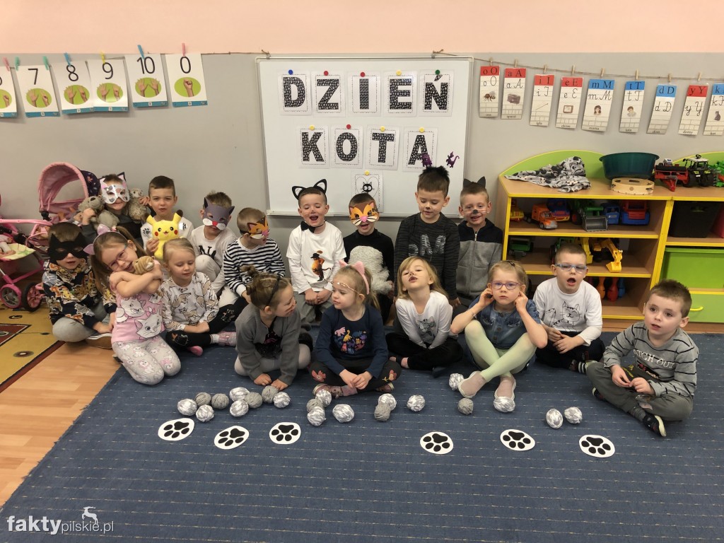 Międzynarodowy Dzień Kota w wyrzyskim przedszkolu