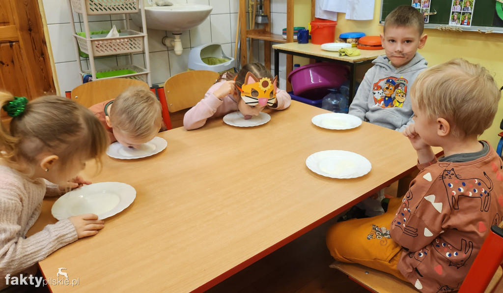 Międzynarodowy Dzień Kota w wyrzyskim przedszkolu
