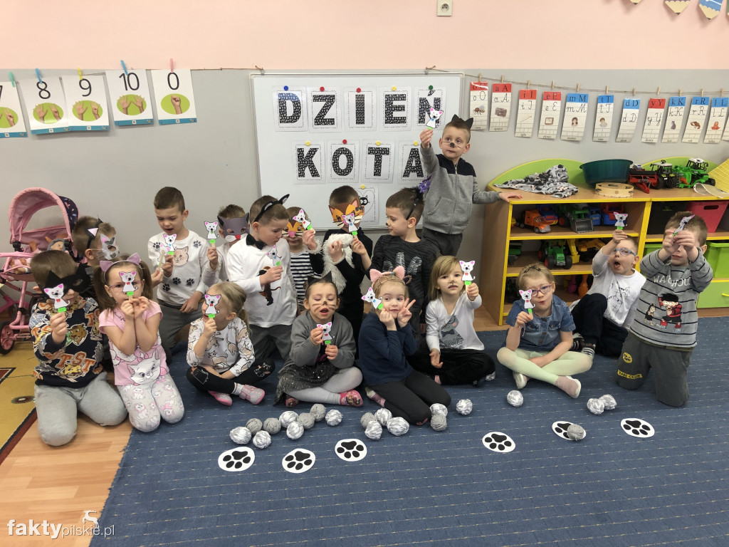 Międzynarodowy Dzień Kota w wyrzyskim przedszkolu