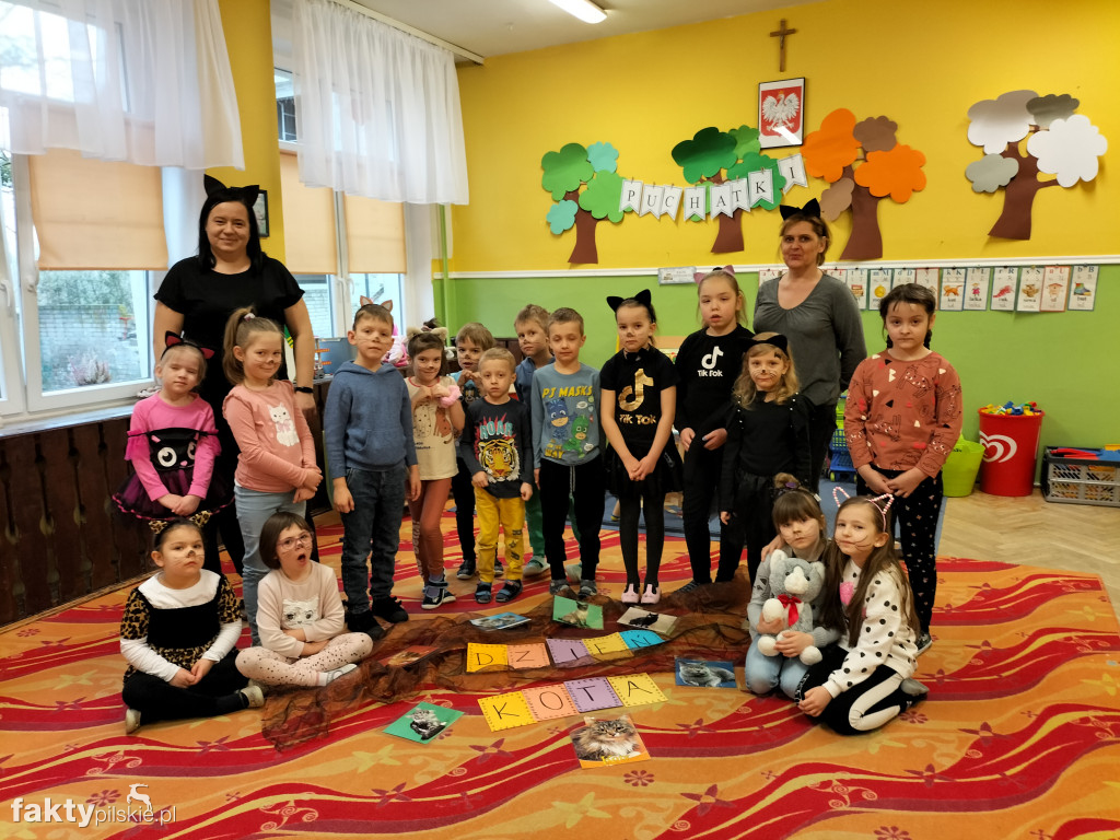 Międzynarodowy Dzień Kota w wyrzyskim przedszkolu