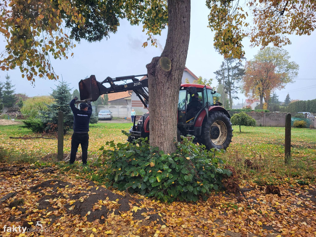 Tak powstawała przystań rekreacyjna w Wysoczce