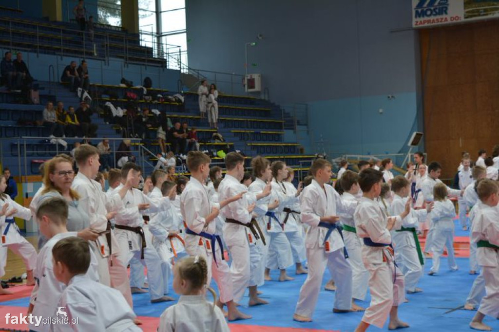 Turniej karate w Pile