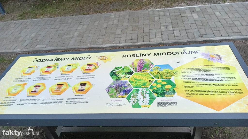 Eko-ścieżka przy MDK Iskra w Pile