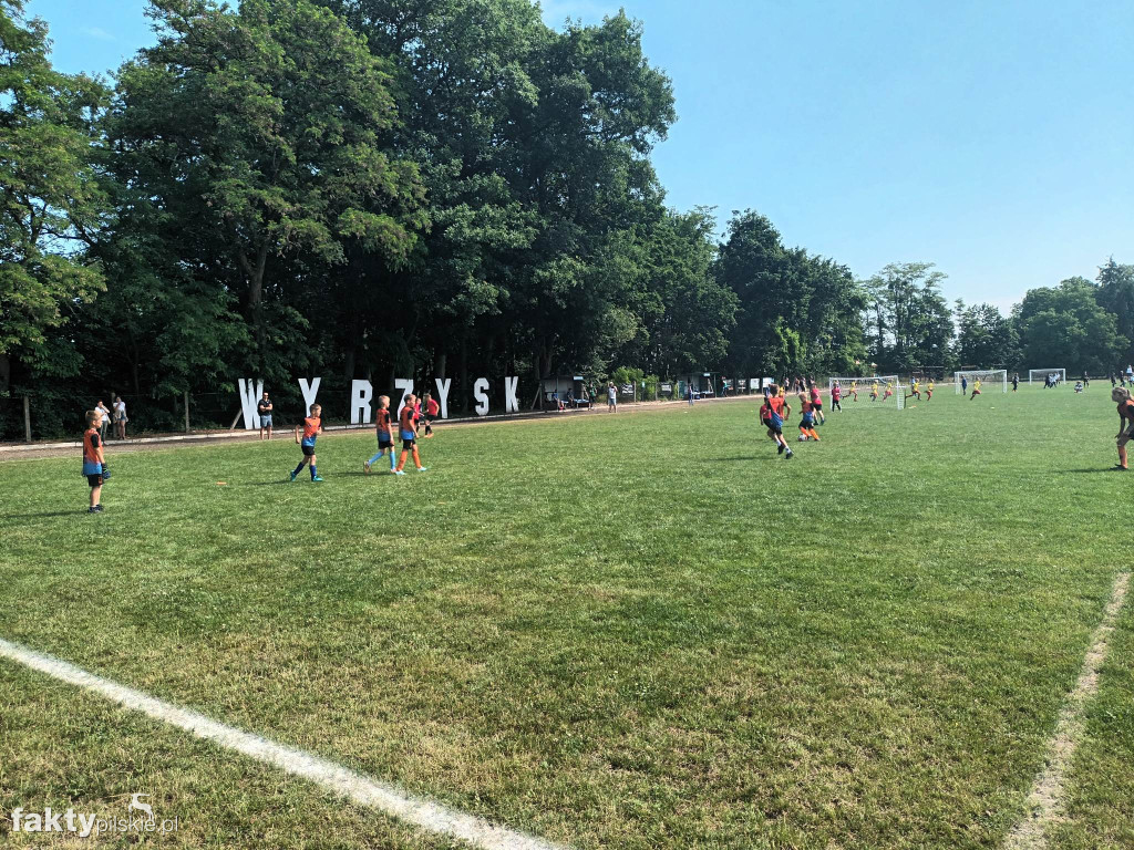 Krajna Cup w Wyrzysku