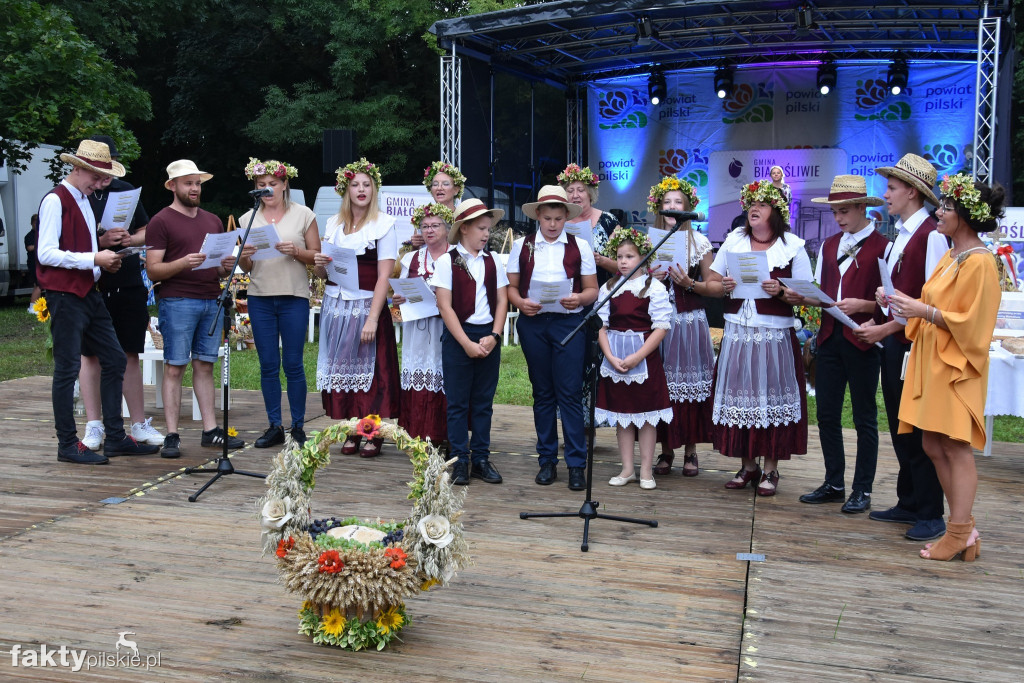 Dożynki Gminne w Białośliwiu 2023