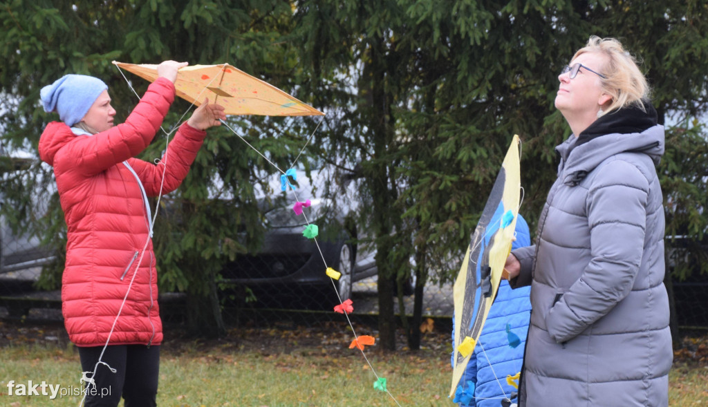 Święto Latawca w Starej Łubiance