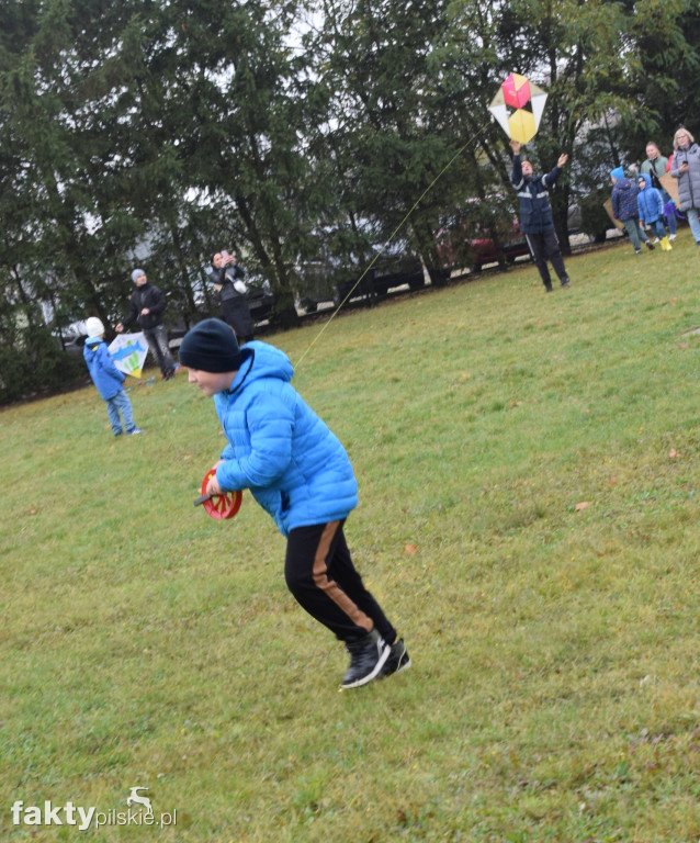 Święto Latawca w Starej Łubiance