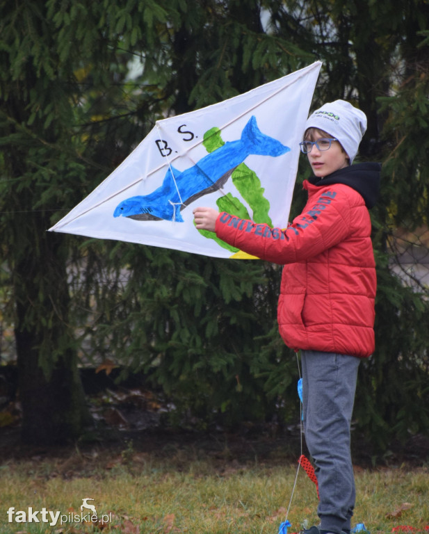 Święto Latawca w Starej Łubiance