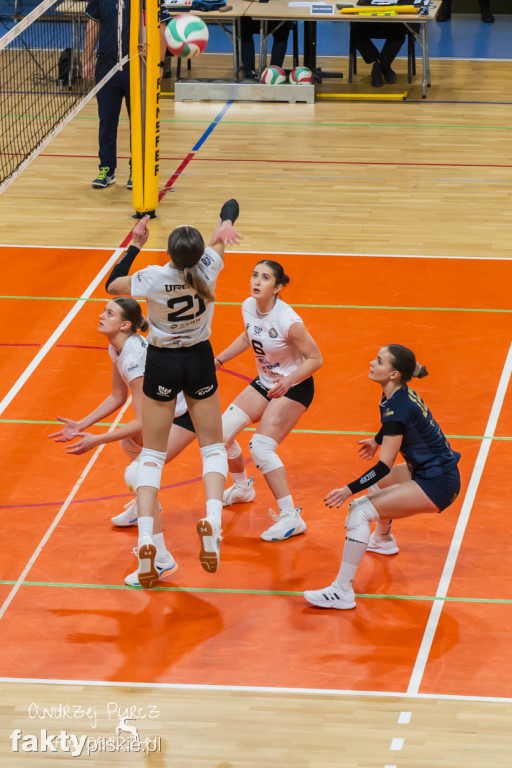 Enea KS Piła vs SMS PZPS Szczyrk I