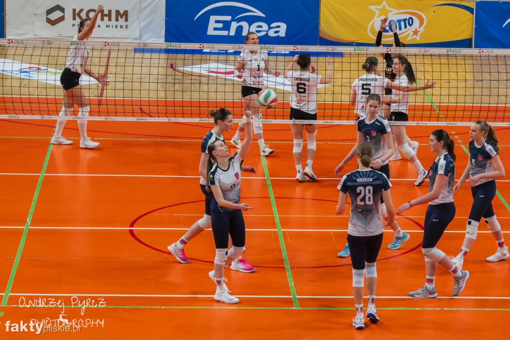 Enea KS Piła vs SMS PZPS Szczyrk I