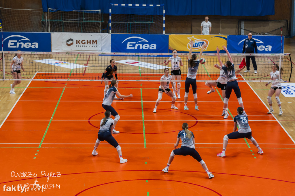 Enea KS Piła vs SMS PZPS Szczyrk I