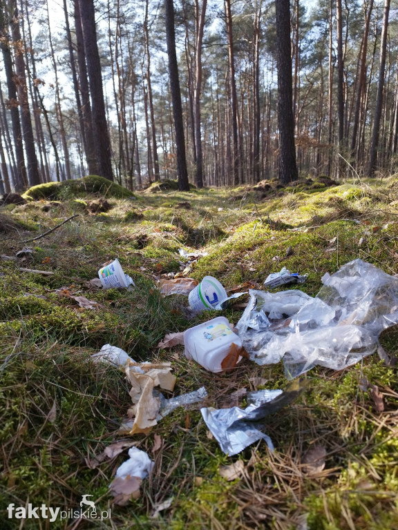 Sprzątali na Piachach po brudasach!