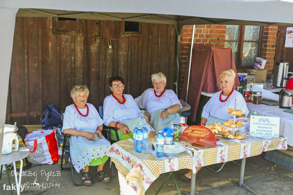 XII Zlot Miłośników Kolejek Wąskotorowych