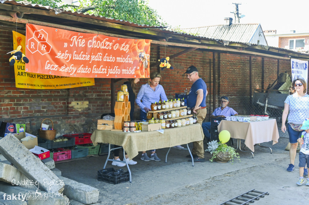 XII Zlot Miłośników Kolejek Wąskotorowych