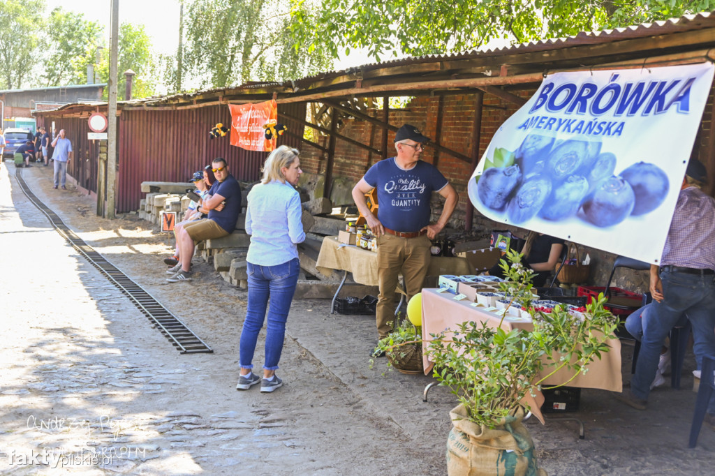 XII Zlot Miłośników Kolejek Wąskotorowych