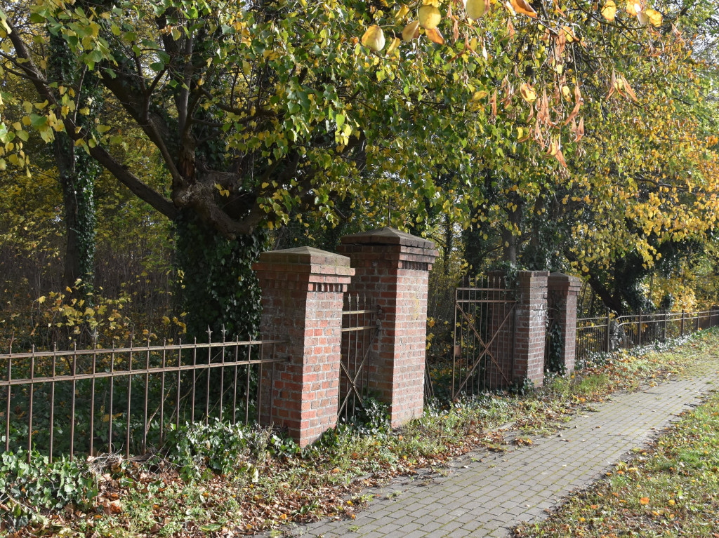 Cmentarz ewangelicki w Białośliwiu w obiektywie Piotra Coblewskiego