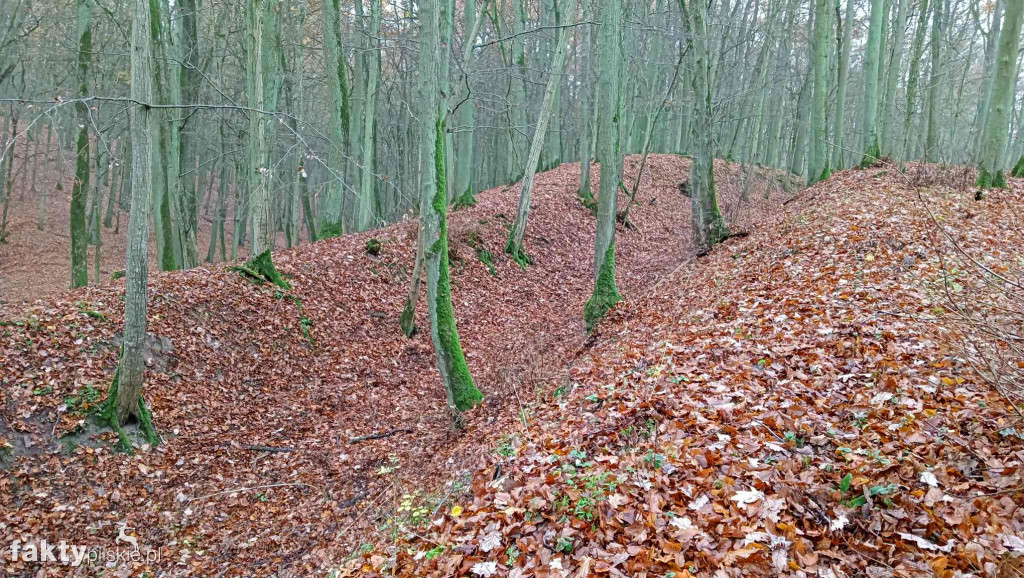 Jesień w Kociku Młynie