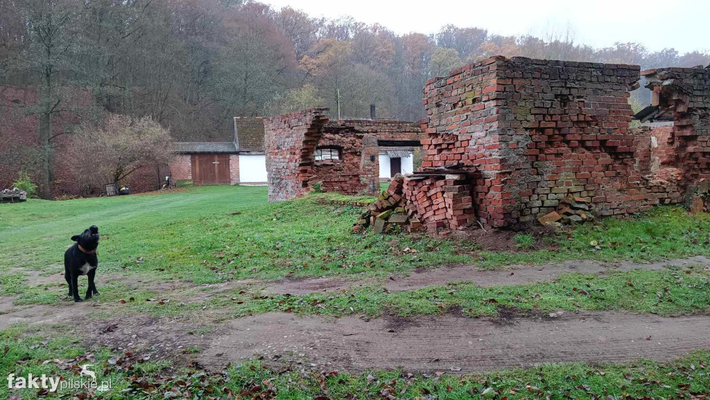 Jesień w Kociku Młynie