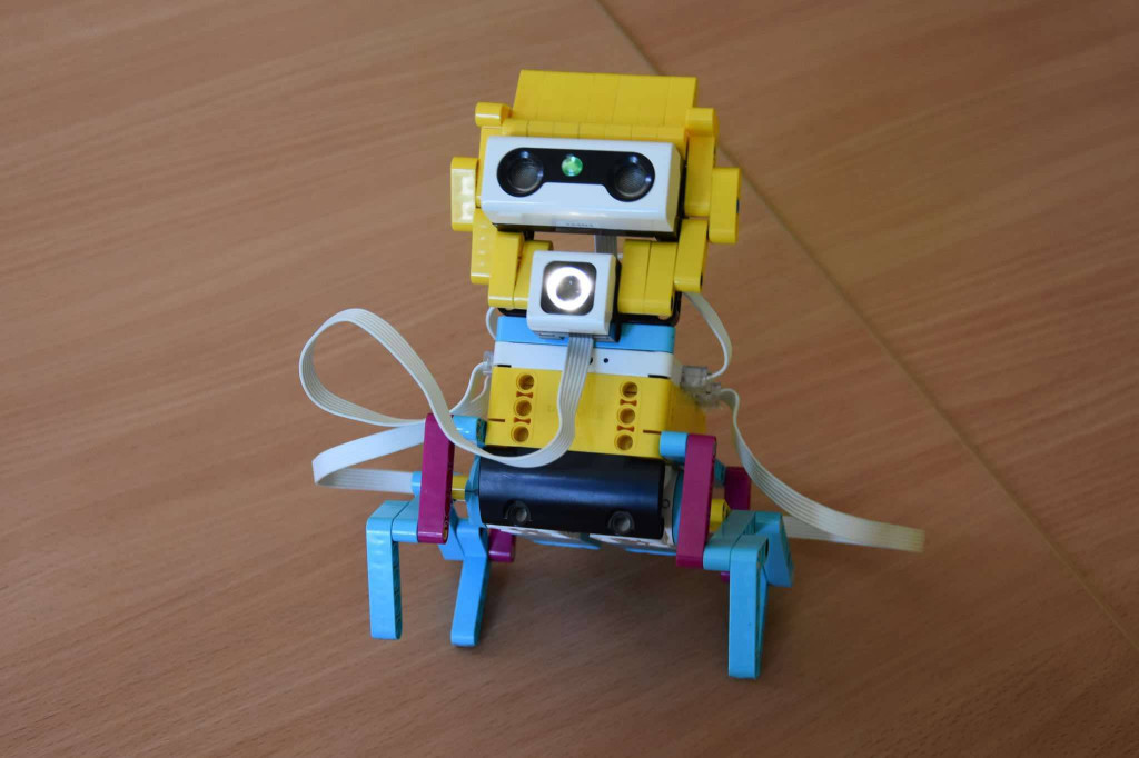 Roboty i Zwierzęta: Interaktywna Edukacja