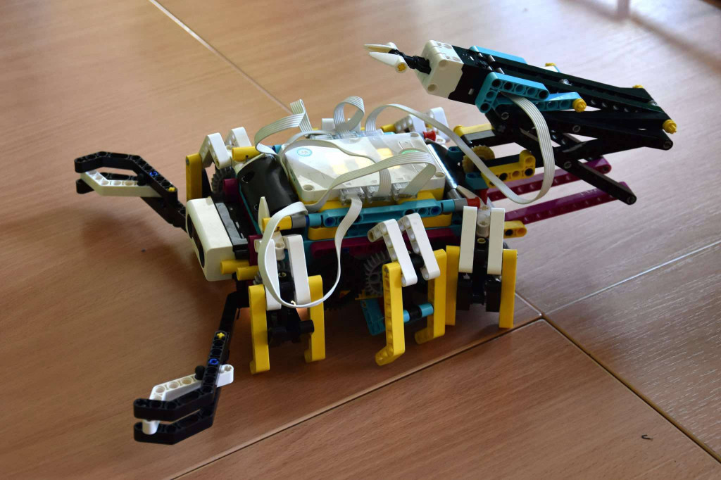 Roboty i Zwierzęta: Interaktywna Edukacja