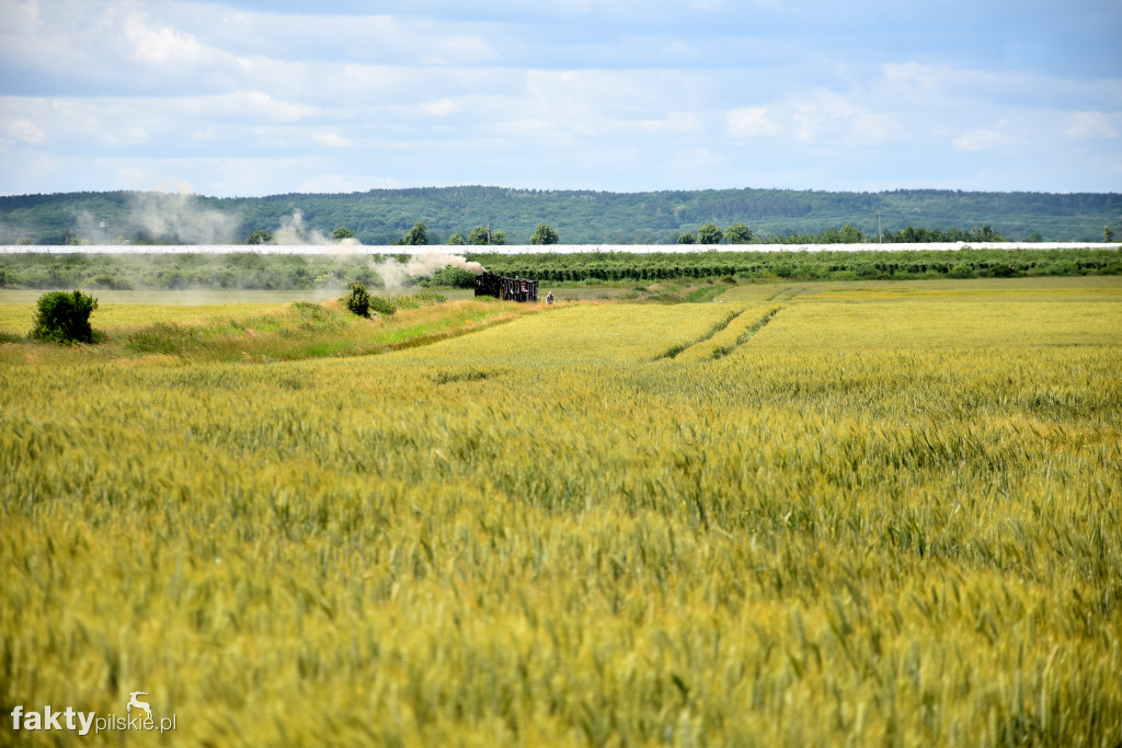 13. Zlot Miłośników Kolejek Wąskotorowych 600 mm