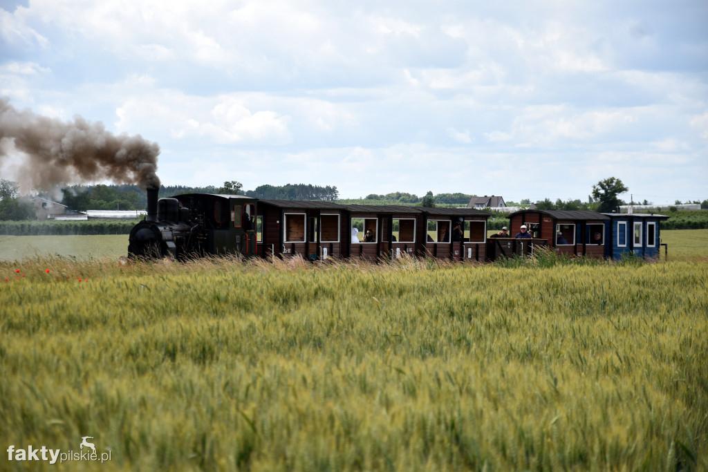 13. Zlot Miłośników Kolejek Wąskotorowych 600 mm