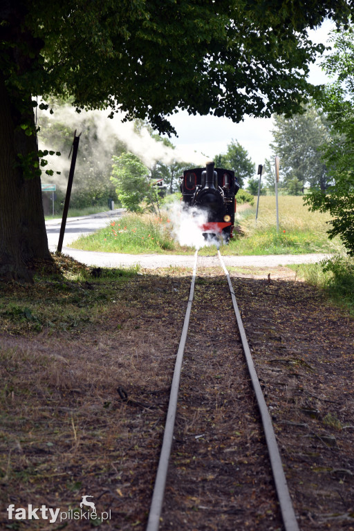 13. Zlot Miłośników Kolejek Wąskotorowych 600 mm