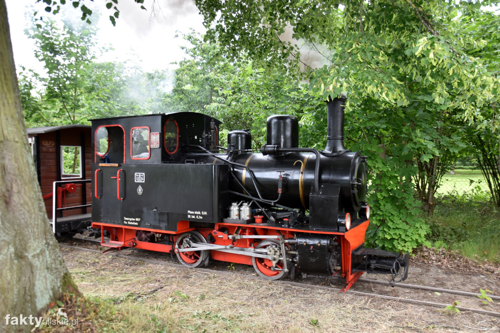 13. Zlot Miłośników Kolejek Wąskotorowych 600 mm