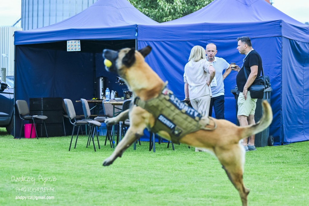 Alergen na Festiwalu Dwóch Rzek w Ujściu