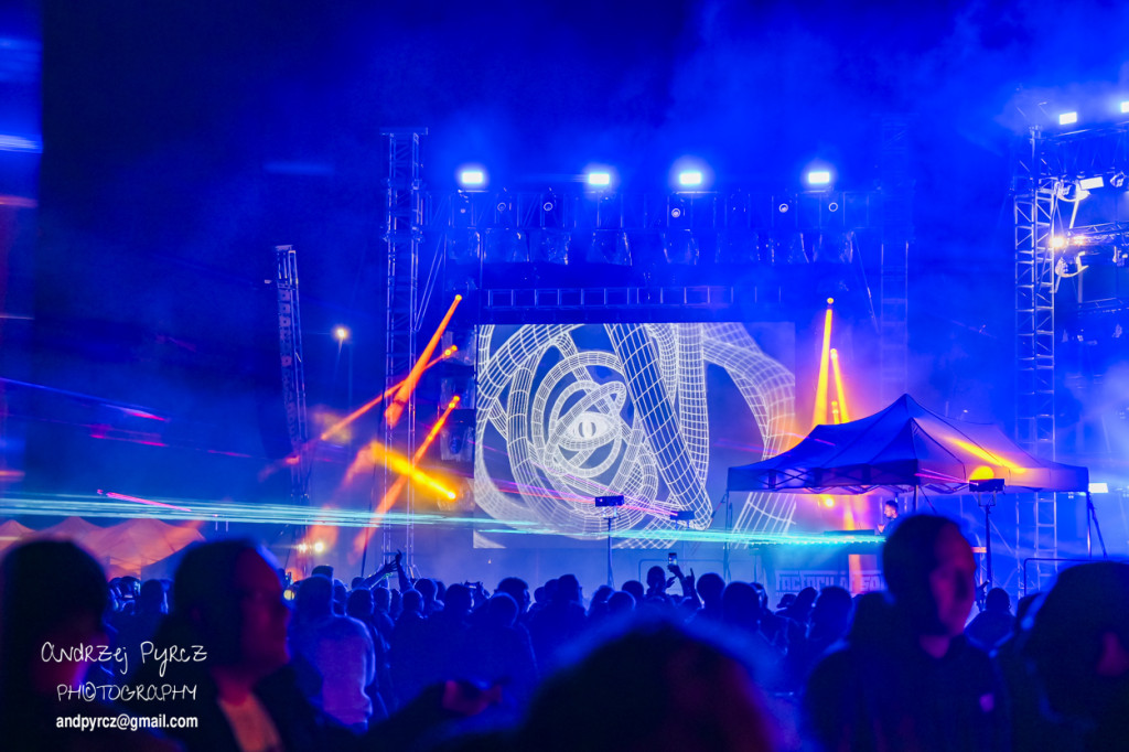 II Factory Of Sound Festival w Pile (1)