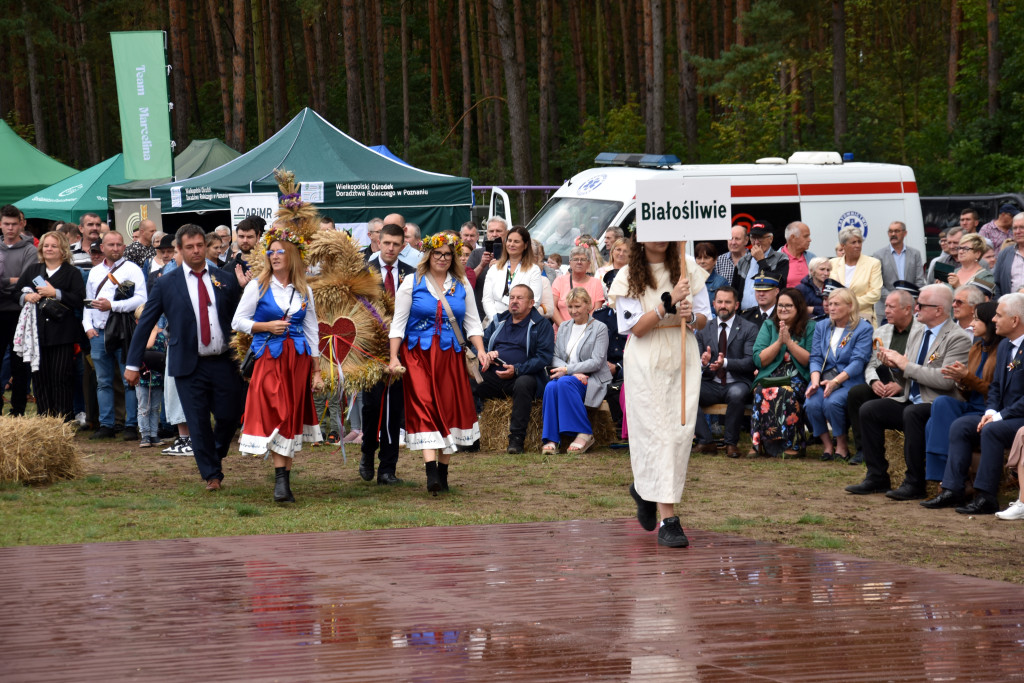 Dożynki powiatowo-gminne 2025