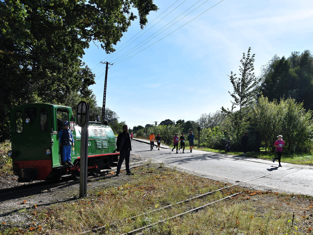 XXVII Bieg Bohaterów Krajny i I Rajd Nordic Walking