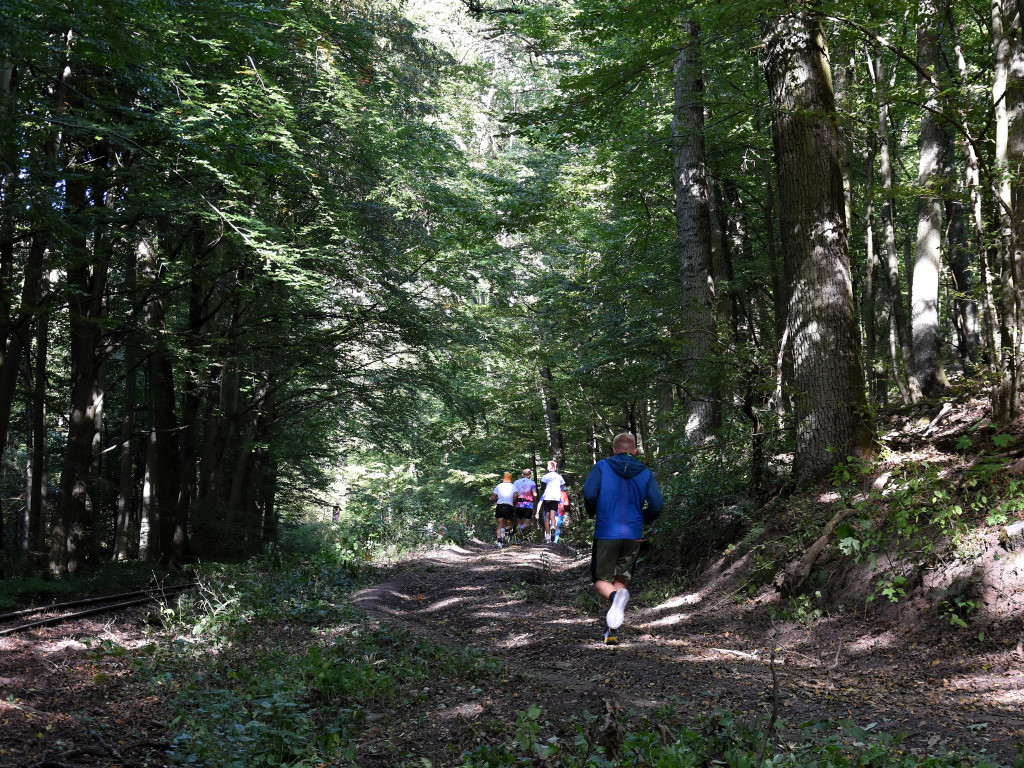 XXVII Bieg Bohaterów Krajny i I Rajd Nordic Walking