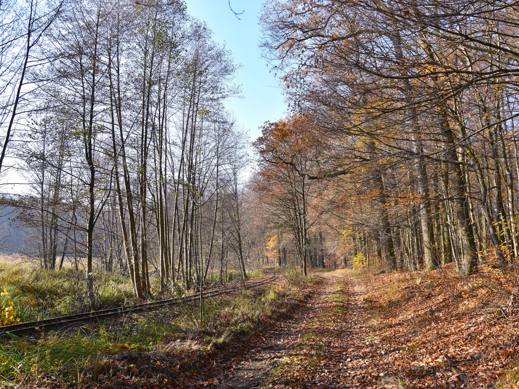 Roboty na szlaku wąskotorówki