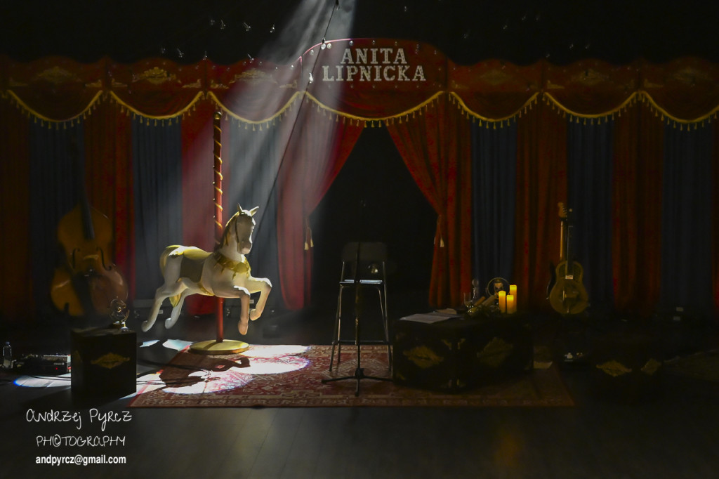 Koncert Anity Lipnickiej