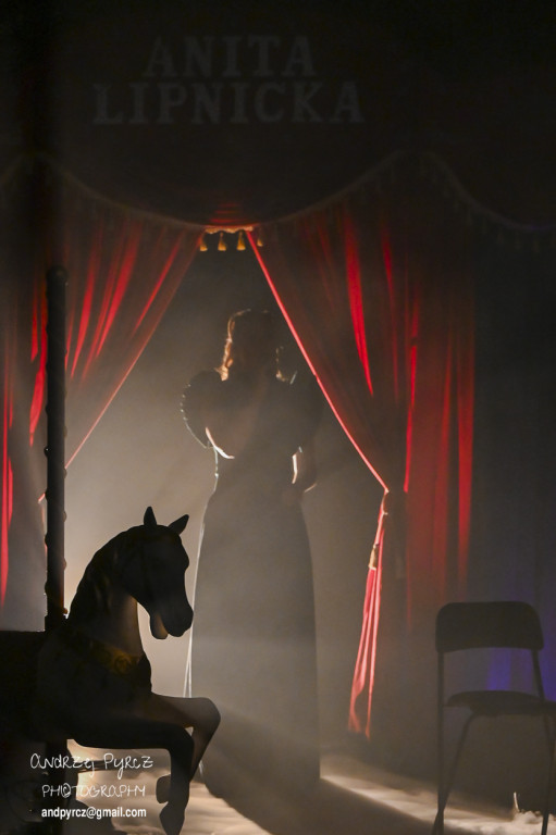 Koncert Anity Lipnickiej