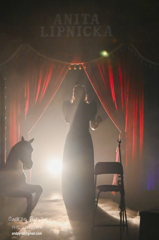 Koncert Anity Lipnickiej