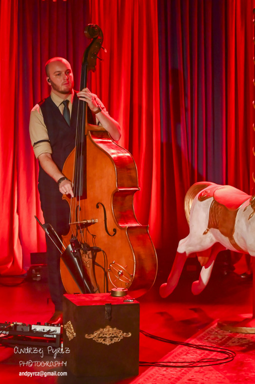 Koncert Anity Lipnickiej