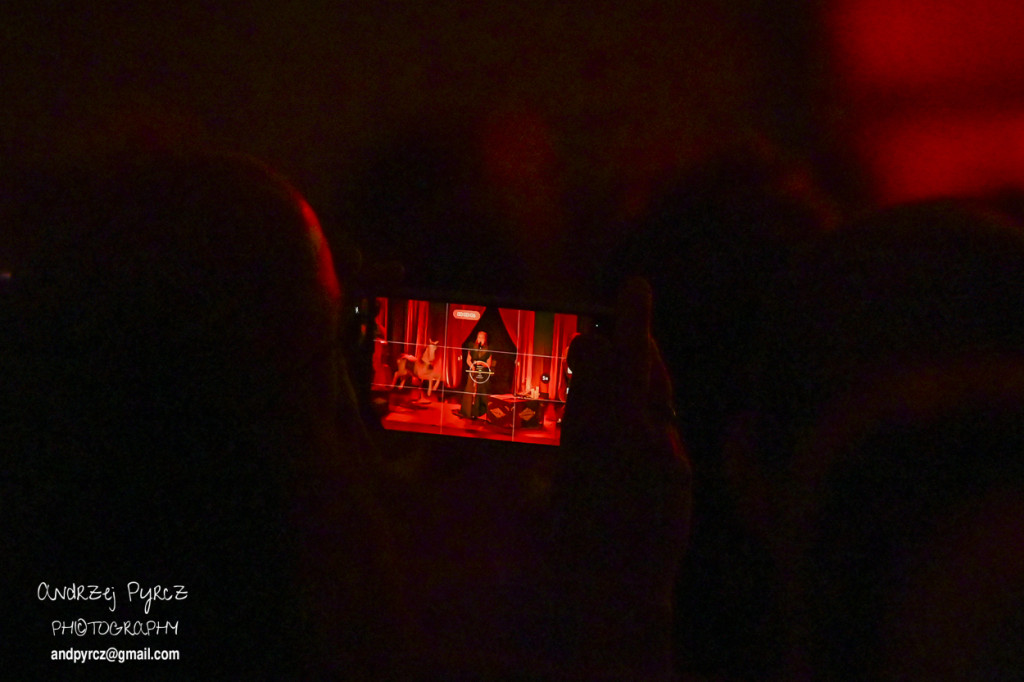 Koncert Anity Lipnickiej