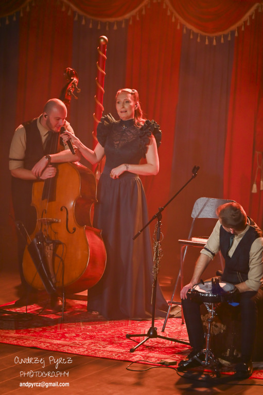 Koncert Anity Lipnickiej